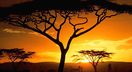 Танзания - мир дикой природы и девственной красоты