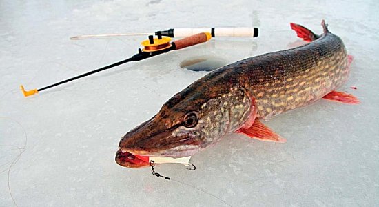 Рыбалка зимой, заманчивое увлечение