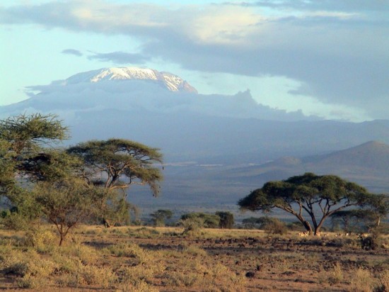 Танзания - мир дикой природы и девственной красоты1